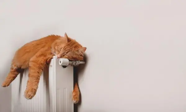 Ingefærkatt sover fredelig på en radiator og nyter varmen og kosen fra det valgte hvilestedet.