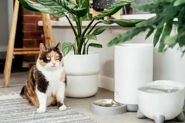 De afbeelding toont een kattenvoerbak die is ontworpen om te openen op basis van een kat