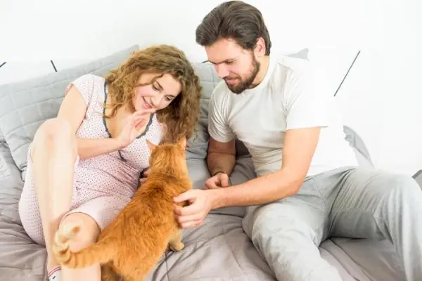 Bir kedi ile bir çift arasındaki yürek ısıtan bir anı yakalayan, etkileşimde bulunurken ve birbirlerinden keyif alırken aralarında paylaşılan güçlü bağı ve sevgiyi gösteren resim