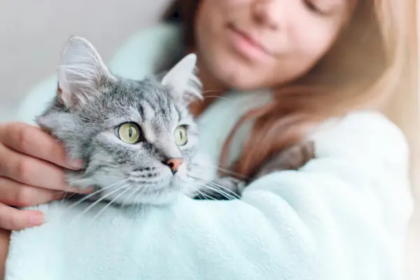 vrouw thuis houdt en knuffelt haar mooie pluizige kat