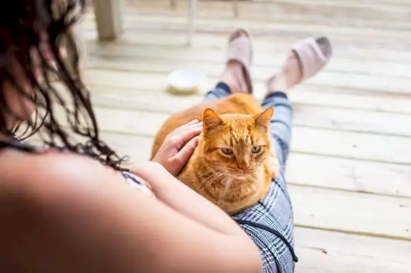 Giovane donna seduta sul pavimento, con in braccio un gatto.