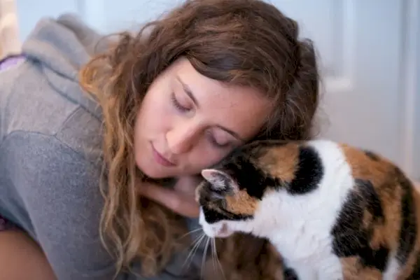 人間の髪の毛を食べるのは猫の単なる遊びです。