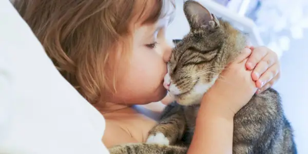 Imagen de un niño besando cariñosamente a un gato, reflejando un conmovedor momento de compañerismo y confianza entre humanos y amigos felinos.