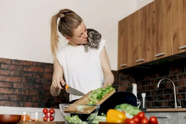 Mantenha os gatos longe dos balcões: gato em uma mulher