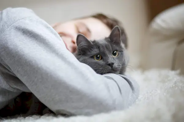 Et hjertevarmt øjeblik fanget, da en mand kærligt omfavner sin kat, mens han sidder på en seng, og illustrerer det stærke bånd og kammeratskab mellem mennesker og deres kattevenner.