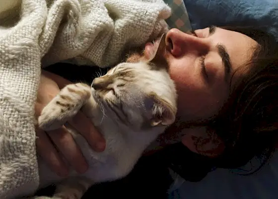 Imagem de um homem e seu gato dormindo lado a lado, simbolizando o vínculo especial e o companheirismo entre os humanos e seus amigos felinos.