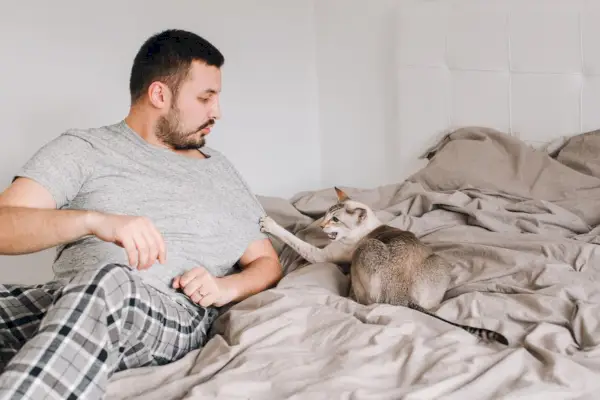 chat attaquant son propriétaire qui gratte