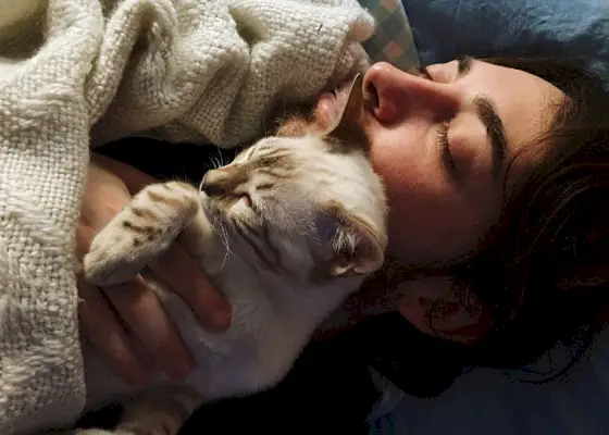 Si svolge una scena pacifica in cui un uomo e il suo gatto sono raffigurati mentre dormono fianco a fianco.