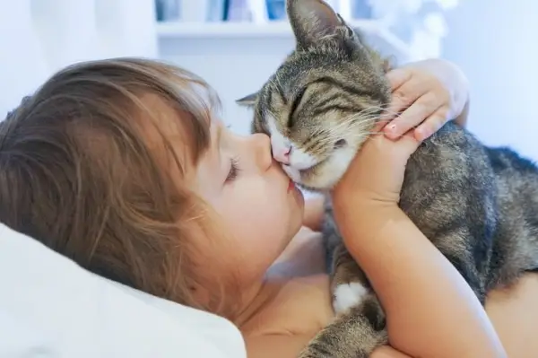 L'image représente un chat frottant son visage contre une personne, un objet ou même un coin.