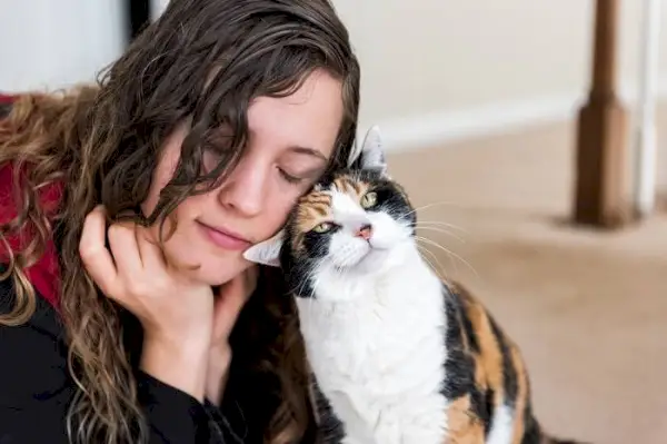 Het beeld verbeeldt een hartverwarmend moment waarop een kat tegen een vrouw aan wrijft