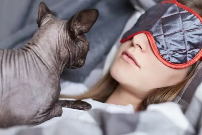 Why do cats sit on our chest?