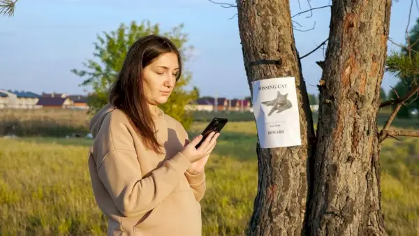 dingęs katės plakatas, kabantis ant medžio kamieno