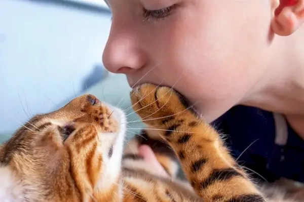 Enfant avec chat Bengale