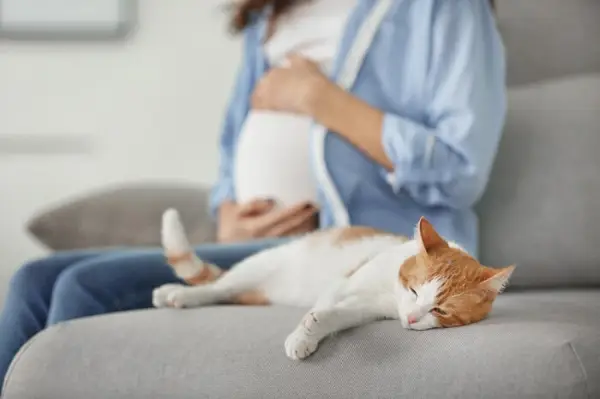 Femme enceinte avec chat orange et blanc sur un canapé gris.