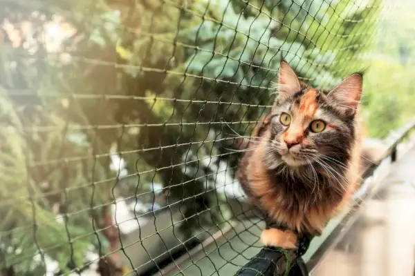 보호 울타리를 가진 고양이