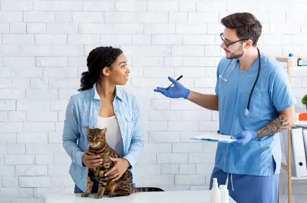 Pessoa conversando com seu veterinário sobre seu gato