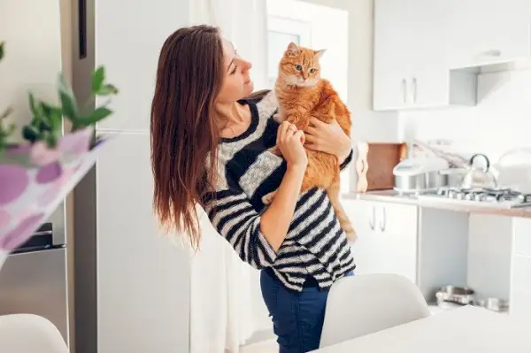 enfoque para disciplinar a un gato