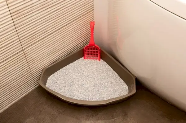 Cuvette de toilette triangulaire pour chat