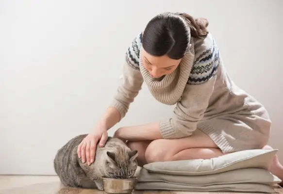 donna che alimenta il gatto