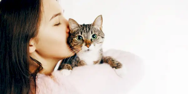 femme embrasse et câlins chat