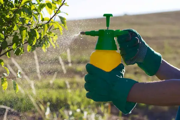 handsproeier met pesticiden in de tuin