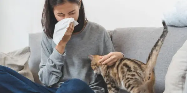 고양이 알레르기를 위한 최고의 약 5가지