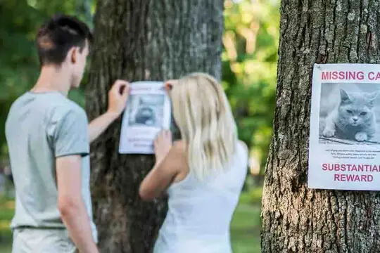 Slika koja prikazuje zabrinutu osobu koja drži a