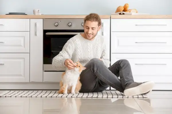 Man die schattige kat voedt in de keuken