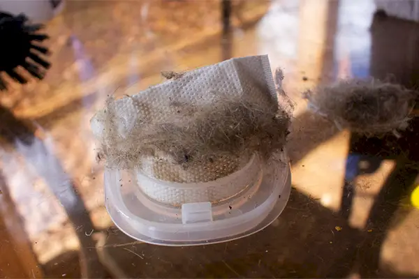 Un petit filtre d'aspirateur en papier contenant des poils de chat et des débris provenant du nettoyage d'un arbre à chat.