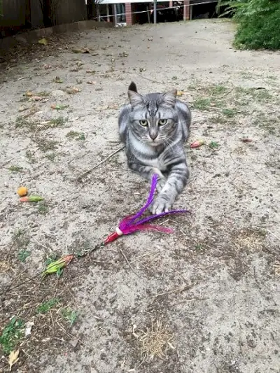 Jose Miguel spielt mit Da Bird im Garten