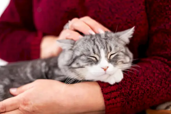 Donna che tiene in braccio il suo gatto mentre lo accarezza affettuosamente.