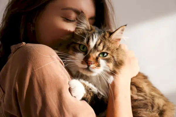 Femme tenant et serrant tendrement son chat bien-aimé