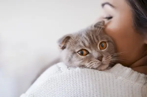 Süße Katze und Frau zusammen.