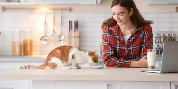 Resimde, yemek zamanı etkileşimine giren bir kedi ve bir kadın tasvir ediliyor ve insanlar ile kedi arkadaşları arasındaki arkadaşlık ve bağ gösteriliyor.