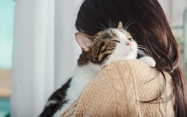 Een afbeelding die bezitterig gedrag bij katten illustreert, waarbij hun territoriale aard en gehechtheid aan bepaalde objecten of ruimtes worden benadrukt.