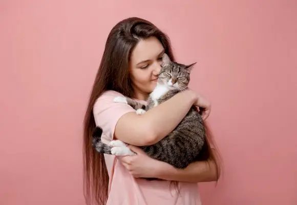 Uma imagem adorável que captura um momento emocionante de um gato recebendo um abraço gentil de um humano carinhoso.