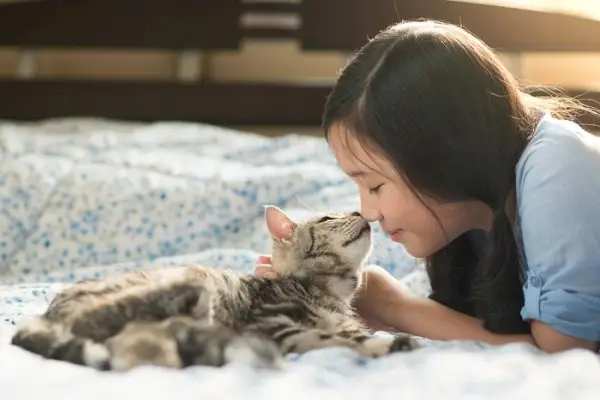 Un niño y un gato juntos, que representan una interacción conmovedora entre un niño pequeño y un compañero felino.