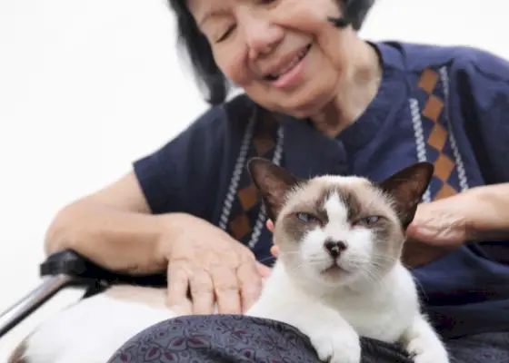 Imagem retratando uma mulher sentada com um gato no colo e conversando.