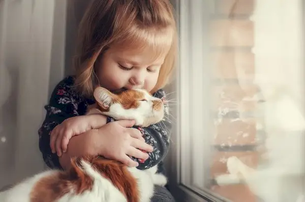 Uma criança interagindo com um gato amigável, promovendo um vínculo alegre e lúdico entre uma criança e um companheiro felino.