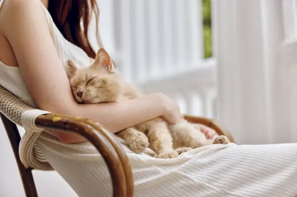 Une femme profitant d'un moment paisible avec son chat, une connexion sereine et réconfortante entre humain et félin.