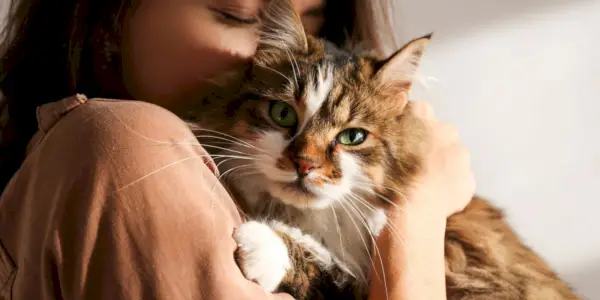 Eine Frau, die eine schöne Zeit mit ihrer Katze genießt und ihrer Katzenfreundin Zuneigung und Kameradschaft schenkt.