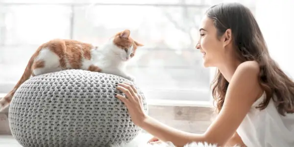 Chat interagissant avec une personne