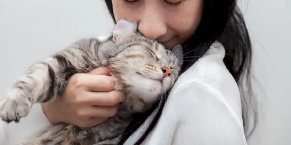 gato frotando su cabeza sobre una niña