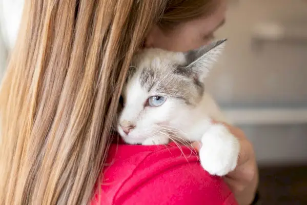 Immagine di una donna che abbraccia calorosamente il suo gatto, raffigurante un commovente momento di affetto e connessione tra il proprietario di un animale domestico e il suo compagno felino.