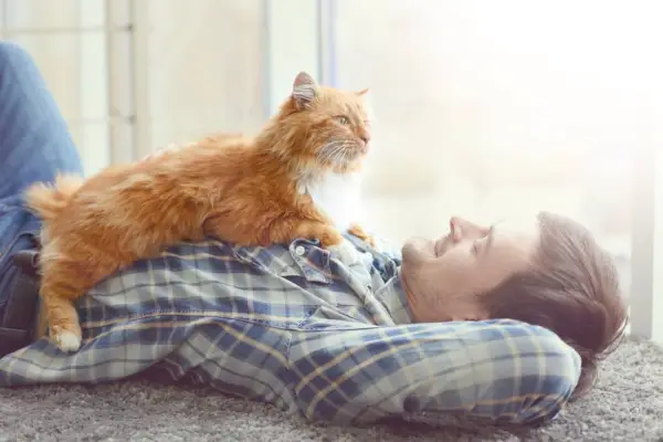 Junger Mann mit süßer Katze, die auf dem Boden liegt