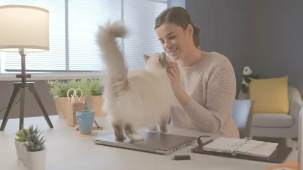 Mulher sentada na mesa em casa e abraçando seu lindo gato