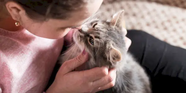 Mädchen küsst Katze an Nase