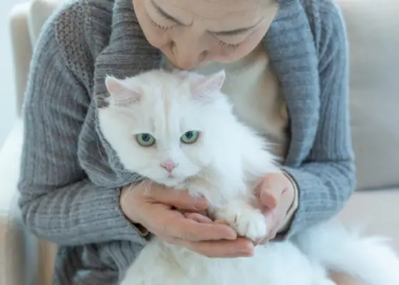 Une image représentant une femme tenant un chat sur ses genoux.