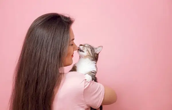 Foto de un gato lamiendo suavemente a una niña.