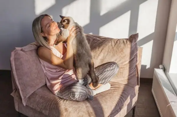 Gato lambendo ternamente seu dono